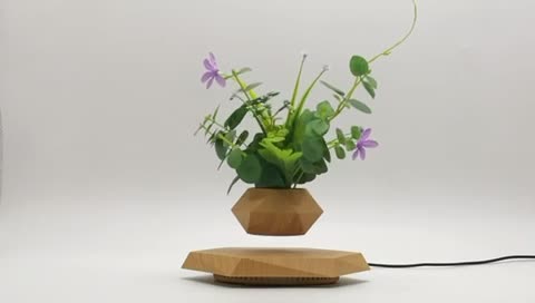 KIYOMING Levitating Plant Pot Hexagon Floating Air Bonsai Pot Suspension Flowerpot Planter for Office Home Decoration