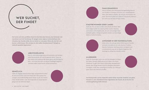 Finde den Hund, der zu dir passt: Sportskanone, Familienhund oder Sofapartner – Der ideale Begleiter für deinen Alltag. Mit den 30 beliebtesten Hunderassen (GU Mensch-Hund-Beziehung)