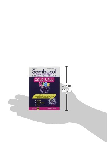 Sambucol Cold And Flu Kids Chewables, 24 Ct #TOP4
