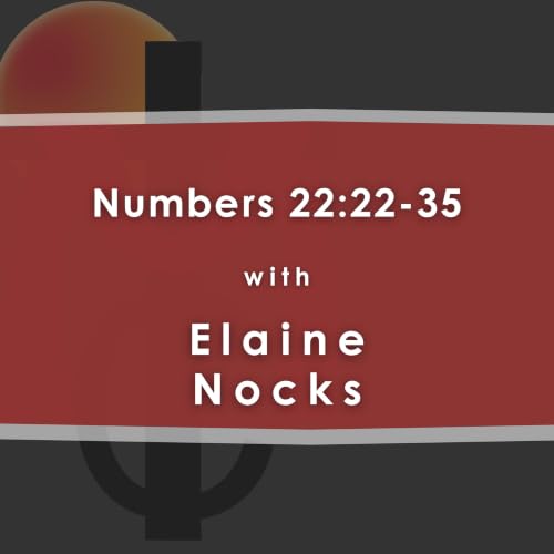 Numbers 22:22-35 with Elaine Nocks