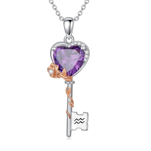 Collier zodiaque cadeau d'anniversaire femme pendentif clé