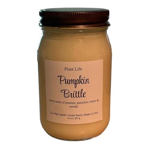 Plant Life Home & Beauty Large Mason Jar Candle 16 oz