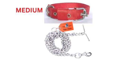 Image of Nylon Collar Combo with Heavy Dog Chain, 63 Inch (Medium, Red)