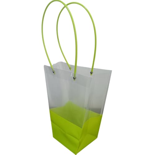 Image of OasisTransparent Gift Bag 10pcs, Foldable, Empty, Decorative, Reusable, 30x35 cm, Multipurpose Birthday, Anniversary, Wedding, Return Gifts Hamper Packaging (Dual Green)