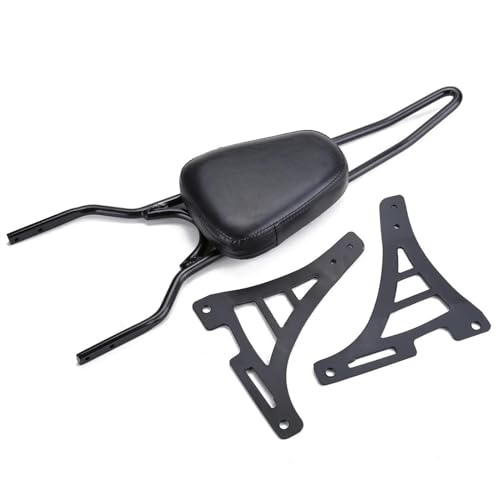 Sissy bar pour Harley Sportster XL883C et XL1200R dossier de passager moto 2004-2020