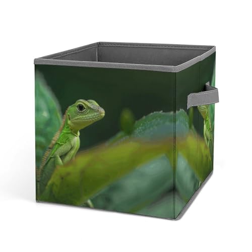 Bacs de rangement empilables pour placard et vêtements à poignées - 2
