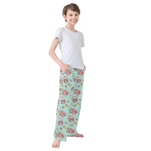 Boys' Pants Christmas Hippo Animal Candy Long Bottoms Jogger Pants Elastic Waist Trousers with Pockets S-XL4