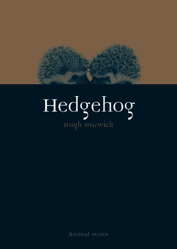 Hedgehog (Animal)