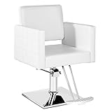 Paddie Salon Chair for Hair Stylist, Hydraulic Barber Chair Classic Styling Beauty Spa Equipment,...