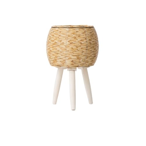 WQNB �������҉ԒI�O�p�X�^���h�A�ؔ��f�X�N�g�b�v�������[�e��I�t�B�X���Ҕ� (�A�b�v�O���[�h24513 A�C�G���[�i�x�[�X�͎��O���\�j)