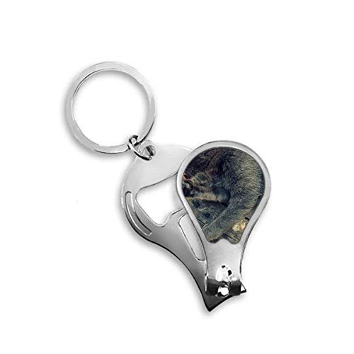 Toenail clipper cutter chat gris pour couper proprement sans effort