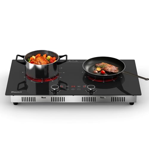 Comparison: Ceramic Stove Top 8 Disaenvir 2 Burner Electric Cooktop 110V - 24 Inch Ceramic Stove Top Countertop & Built-in, 2000W Two Burner Radiant Electric Cook Top with LCD Touch & Knob Control, Timer, Safety Lock, 120V Plug in