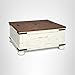 Signature Design by Ashley Wystfield Farmhouse Coffee Table with Storage, Hinged Lift Top, Wood, 36