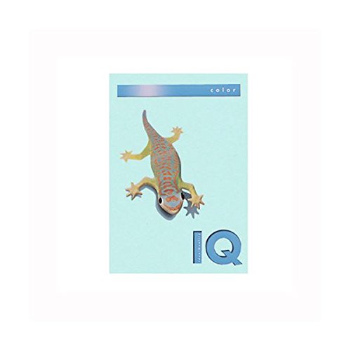 iƖpZbgj ɓ oCIgbvJ[ A4 250 120g^m2 BT708 ~fBAu[ y×2Zbgz AV fWm v^[ OA v^p [sAi]