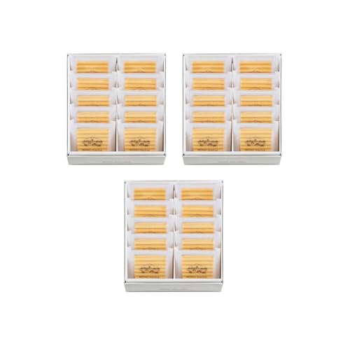 [OgtH[V[YY [[bt 10×3 bt TNTN NbL[ _ [Og N[ Mtg 蕨