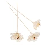 Décorations créatives : elles sont simples, mais très pratiques à utiliser, vous offrant une expérience, de nouveaux ornements naturels