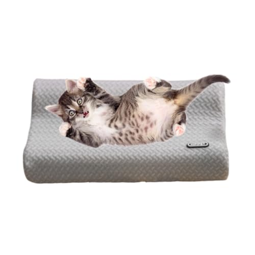 Dog Pillow - ^plbNT|[gs[ | ^ q qLpKwbhXg Qxbh P[W \t@ rO Q t[J[ ԓs EW | qL EW Pl \t@ xbh N[g Q t[O
