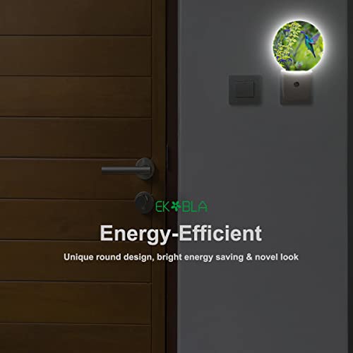 Image of EKOBLA Hummingbird Night Light, Spring Garden Bird and Flower Night Lights Plug Into Wall with Auto Sensor for Home Indoor Decor