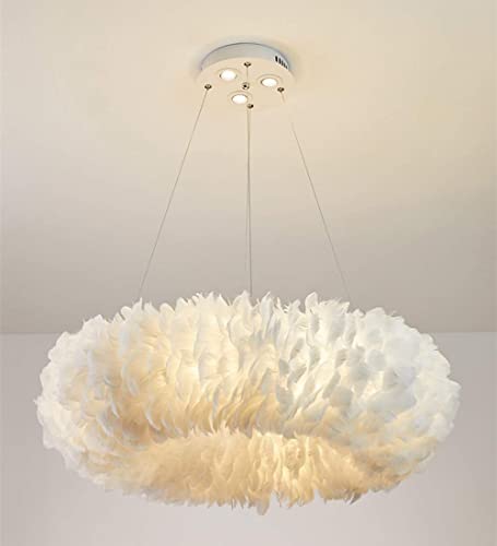 Luminaire suspendu en plumes pour éclairer une pièce sombre avec un style moderne unique