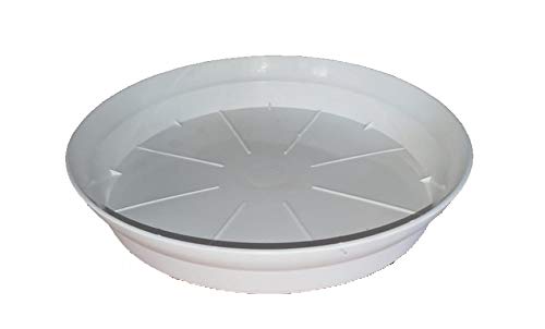Shubh Plastic Planter Tray, White, 10 inch, 6 Pc (B07J5RQKQ3) Amazon Price History, Amazon Price Tracker