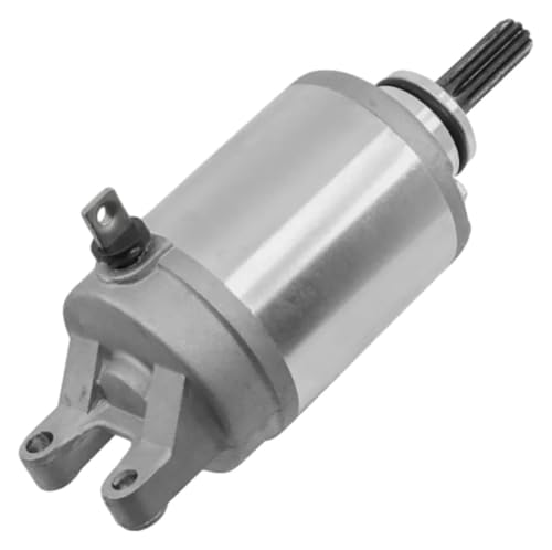 Démarreur pour Suzuki LTR450 résout vos pannes de démarrage Quadracer 450