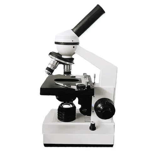 ZJFHEYUO Microscopio Digital, microscopio biológico para niños y Estudiantes, económico, monocular, óptico, estéreo, Educativo, de Laboratorio.