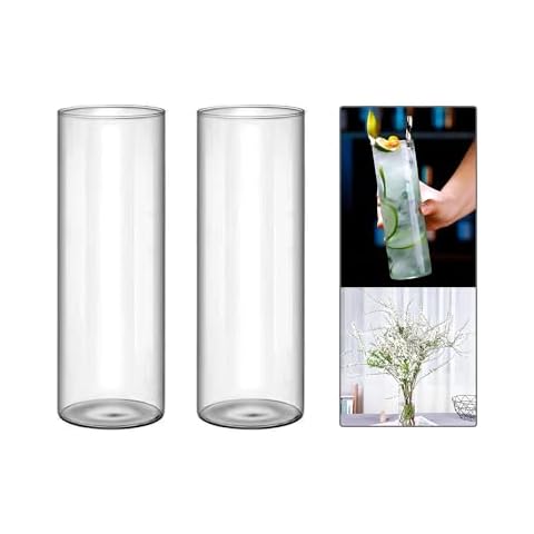 ICSTM Glasses Cups,Reusable Clear Drinking Cups,Transparent Water Glasses for Cold Drinks, Tea, Coffee and Beer (2, 18 oz) Cover