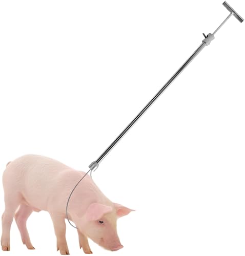 Msiud Poste De Control Animales, Soporte para Cerdos Acero Inoxidable Palo Seguridad Ganado Longitud Ajustable 67-114.5Cm Adecuado Animales PequeñOs y Medianos como Perros Ovejas