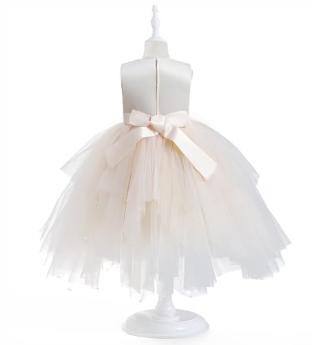 Girls Tutu Sequin Dress Sparkly Tulle Puffy Flower Girl Dress Toddler Girl Dress for Party Wedding Birthday 3-12Y3