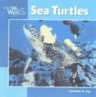 Sea Turtles 0613268652 Book Cover