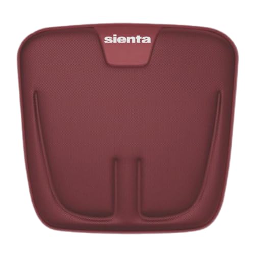 `vw ԗp NbV zc ې􂢉 ʋC ɂ ^] ItBX ֎q Ԓ Kɑ΍ ʎ oX ^NV[  (VG^ Sienta) [sAi]