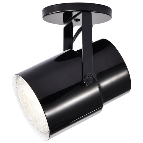 Image of Satco SF77 /394 Incandescent Portable Plant Lamp, 60 Watts, Alloy Steel, Black