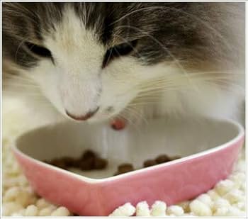 Amazon | カントリーロード COUNTRY ROAD プレシャスサポート