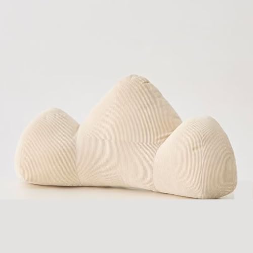 Coussin de soutien lombaire ergonomique qui soulage la douleur du dos en position assise