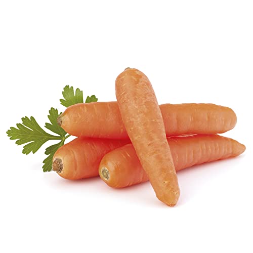 Semillas de Zanahoria Planta Comestible y Saludable Daucus Carota