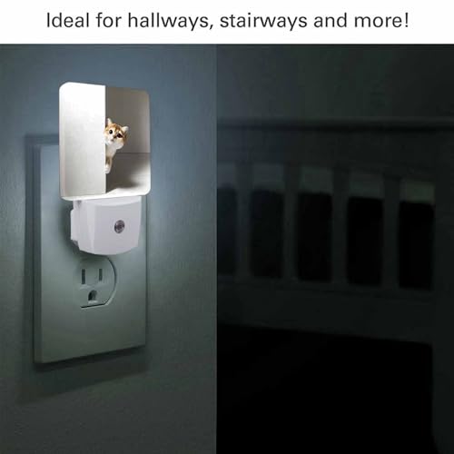 Image of LED Night Light,Curious Cat Hides and Peeps LED Night Light Plug into Wall with Dusk to Dawn Light Sensor White Energy Efficient Nightlight for Bedroom Bathroom Hallway Living Room Kitchen