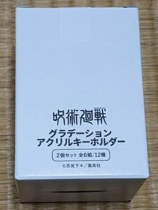 呪術廻戦 伏黒甚爾 グラデーションアクリルキーホルダー アクリルキーホルダー 呪術廻戦 懐玉・玉折 ゆるすた 04 伏黒甚