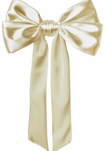 Ceinture de mariage satin pour femmes 4'' double mousseline, champagne