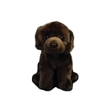 LABRADOR AMORABLE: Presenta el aspecto amigable y adorable de un cachorro de Labrador Retriever marrón, con orejas suaves y caídas y una cara expresiva.