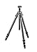 Gitzo GT2543L Mountaineer Tripod Ser.2 4S Long (Black)
