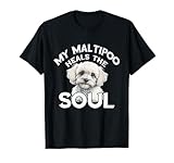 Playful Maltese Toy Dog Maltipoo Lover