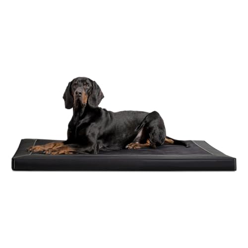 tierlando® Orthopädische Hundematratze Carlos VIP Ortho-Medic Hundematte aus Kunstleder und Velours mit Visco Memory Foam, Größe: 80x60cm | Farbe: 03 Schwarz