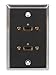 MCM 75-699 SINGLE GANG WALL PLATE STAINLESS STEEL DUAL USB A (1 piece)