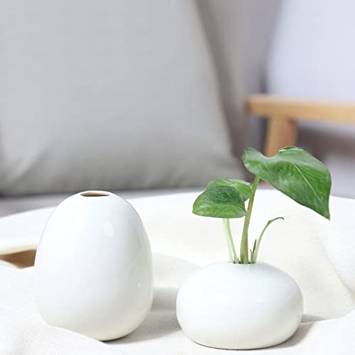 belupai Juego de 2 Jarrones de Cerámica Blanca, Pequeño Y Moderno Jarrón de Granja, Jarrón Decorativo Bohemio, Mini Florero de Mesa para Sala de Estar, Estante, Estantería Y Decoración(Blanco)