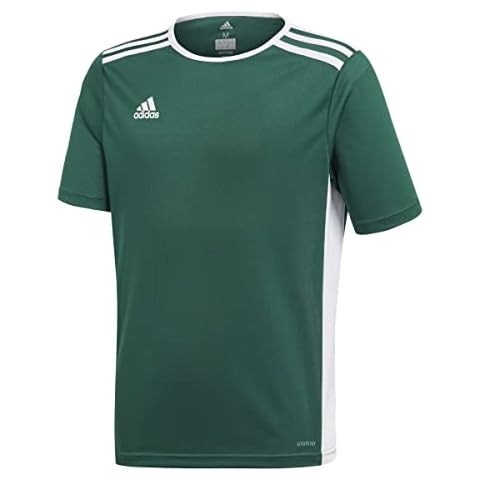 Camiseta adidas Entrada 18 JSYY, Verde/Blanco, Niño Cover