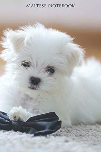 Maltese Notebook: Portable lined Maltese - Travel Journal to write in - 120 pages - 6"x9", White