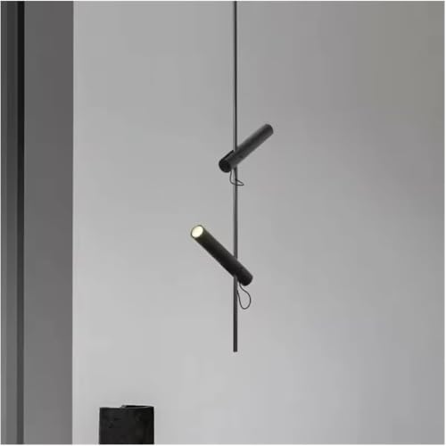 Lampe suspendue moderne noire mate à 2 têtes orientables GU10