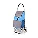 FURUIWUFENG Carrello con Ruote Carrello Spesa Portable Crate Carretto Pieghevole Rolling Durevole Heavy Duty Sacchetto di drogheria Ruota Ruote for Viaggi Moving Carello x Spesa (Color : 4)