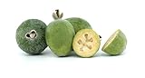 Fresh Green Feijoas By RawJoy Farm