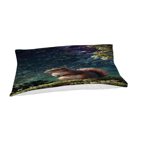 Housse de couette écureuil de qualité supérieure parure de lit simple tissu microfibre durable - 7